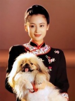 陈凯歌倪萍同居6年遭抛弃,陈红上位多年,如今过得怎么样了?