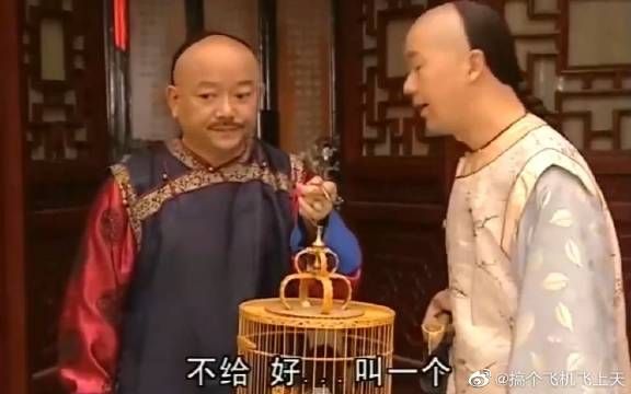和宝宝总是被纪晓岚欺负，我觉得他两才是真爱，互相伤害