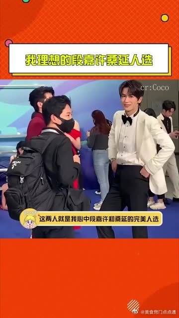 我理想的段嘉许桑延人选
