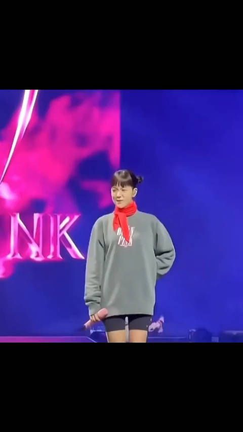 金智秀双丸子头造型