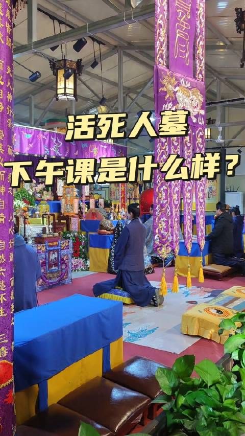拜访终南山下活死人墓,偶遇刘景华道长带着弟子们作午课……