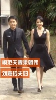 都说伟仔喜欢的是张曼玉,为什么娶的是刘嘉玲?