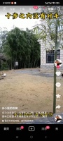 体会到了李连杰为啥说古代高手是存在的!