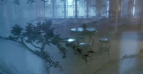 韦小宝在地牢狂骂鳌拜,经典中的经典!