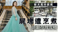 看不少媒体说蔡天凤被杀,其中透出香港社会的令人恶心的腐臭……