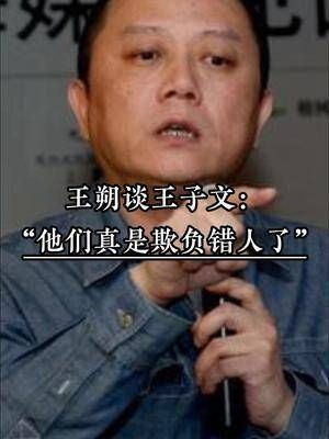 王朔谈王子文 :“他们真是欺负错人了”