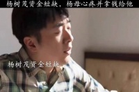 叶菲也给大茂取钱,两人复婚。杨母看见叶杨后发现端倪