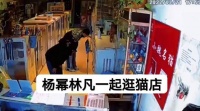 杨幂和林凡应该很早就同居了吧,之前就被拍到一起逛猫店买猫