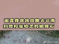 谢霆锋曾经一个人跑去云南刻他和张柏芝的姻缘石你们知道吗?