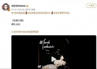刘亦菲也确认参加微博之夜了,大家期待天仙的红毯吗?