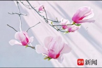 3月22日截稿！ “少年志·童眼寻春”邀你用镜头记录春日美好！