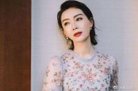 出道17年0绯闻,结婚8年却无子,婚后她待7岁继子如己出!