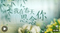 英雄之光丨我在春天思念你
