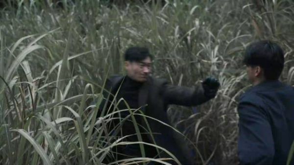 陆风将追杀自己之人反杀……