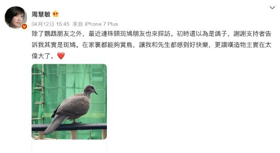 周慧敏分享日常