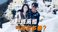 张丹峰离婚亏得有多惨?每个月都要给洪欣抚养费,财富缩水50%
