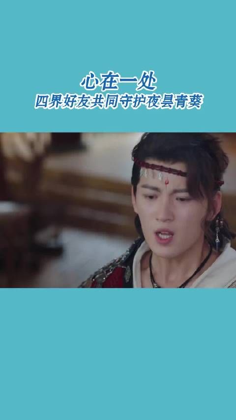 心在一处，四界好友独特守护夜昙青葵