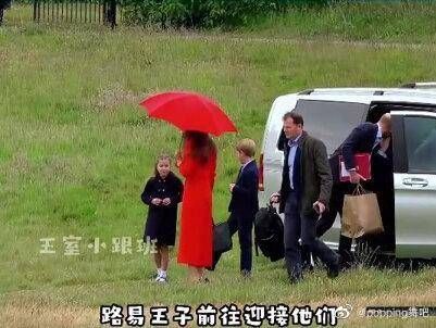 凯特管教路易被捂嘴,夏洛特出动立马听话,血脉压制最为适用