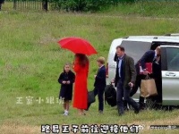凯特管教路易被捂嘴,夏洛特出动立马听话,血脉压制最为适用