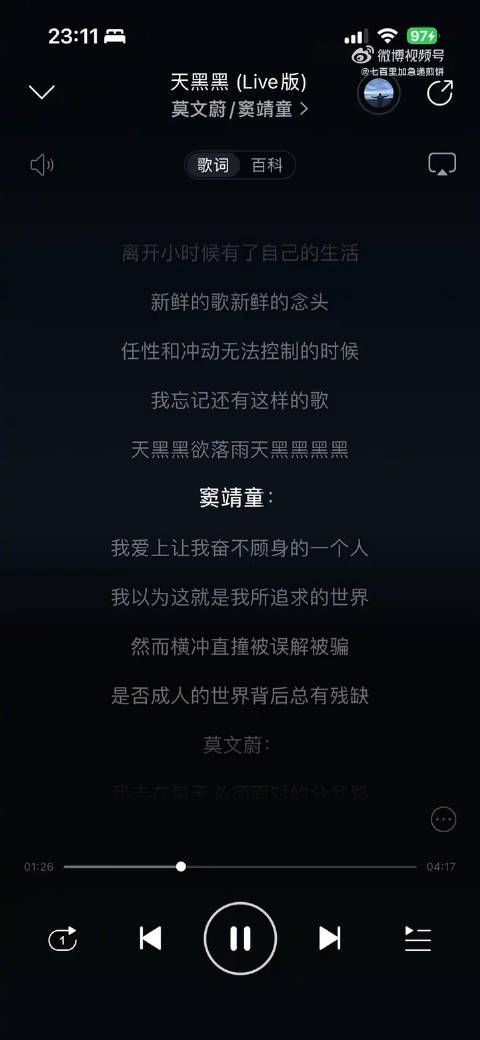 窦靖童一开口把我听傻了…真的很像王菲了，不愧是母女