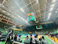 横扫!辽宁男篮夺冠,郭艾伦怒抓球衣,球迷现场求婚,赵本山见证