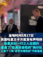 哈里王子夫妇称在纽约遭狗仔驾车狂追两小时,事实真是如此?