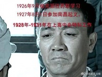有这样的旅长,难怪老李跪了