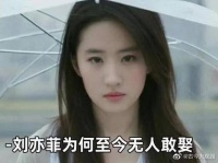 刘亦菲为何至今无人敢娶,原因竟是因为身家太高