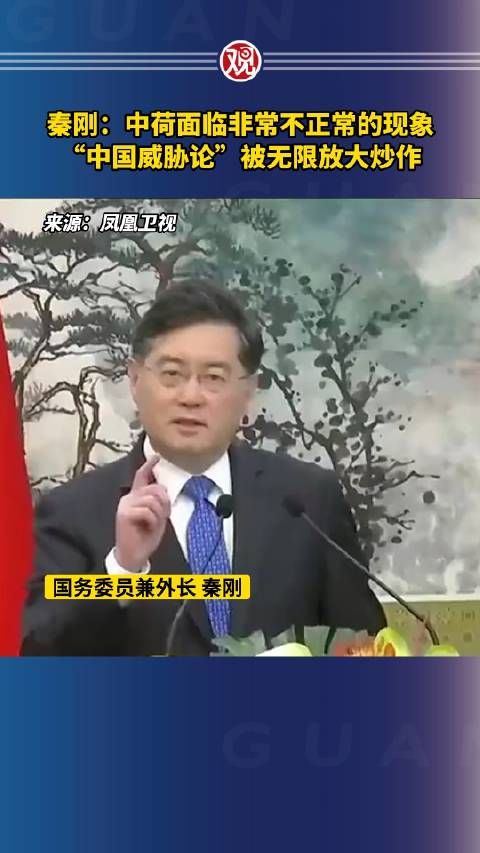 秦刚:中荷面临非常不正常的现象……