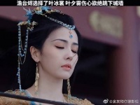 澹台烬毫不犹豫选择了叶冰裳,叶夕雾伤心欲绝跳下城墙,太虐了