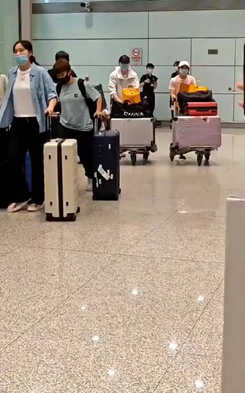 龙队和大头大梦同时出现，回家了