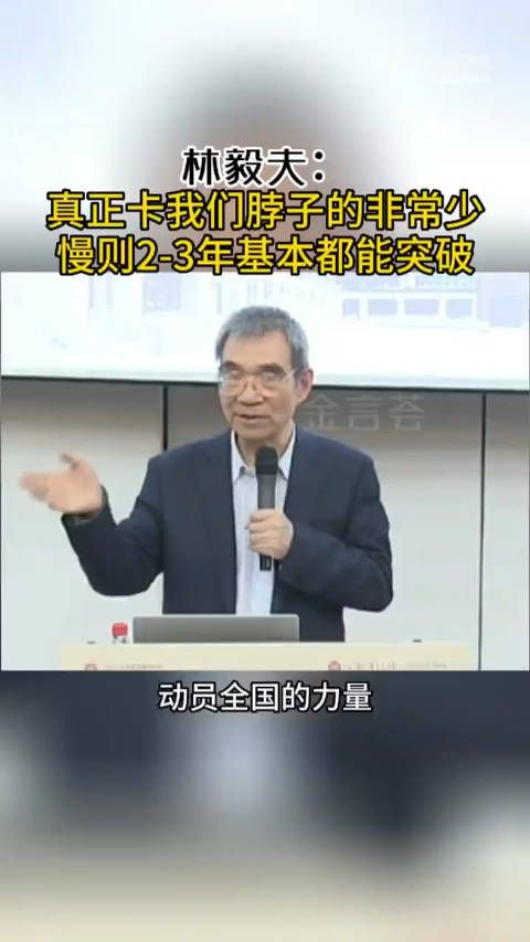 林毅夫:真正卡我们脖子的非常少……