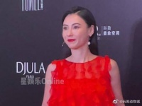 张柏芝红色长裙,作为红毯上第一个主动和主持人打招呼的艺人……