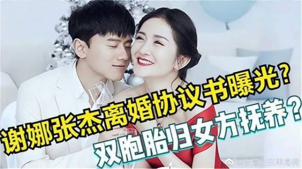 谢娜张杰“离婚协议”：双胞胎女儿由谢娜抚养？