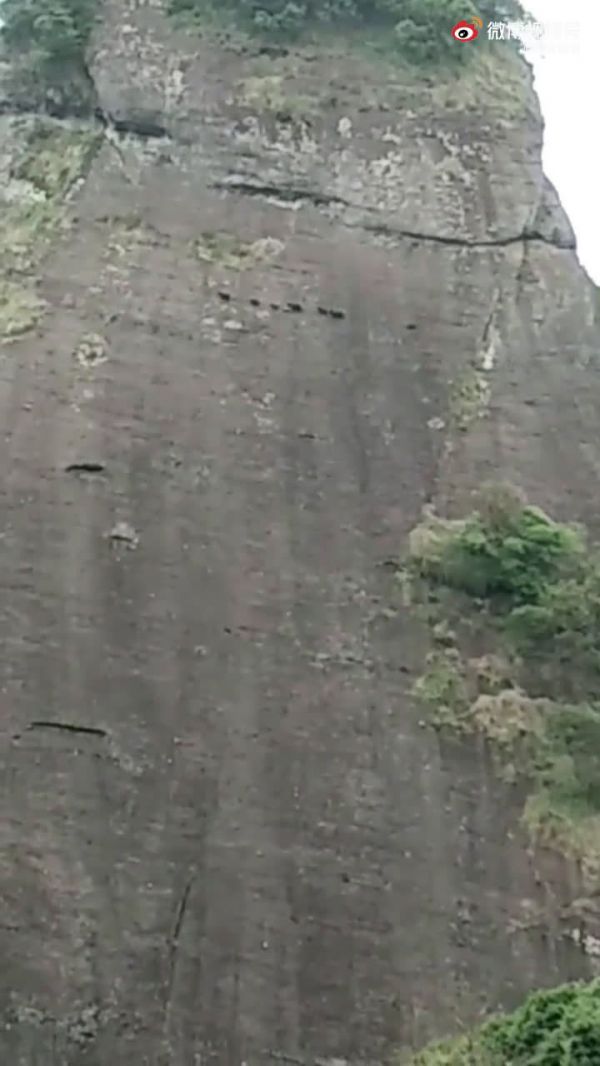 这群山羊已经半年没回家了