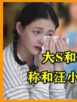大S离婚内幕曝光,结婚10年倒贴全部身家