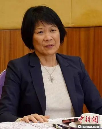 图为4月25日,邹至蕙向多伦多华人社区介绍自己的竞选政纲。 中新社记者 余瑞冬 摄