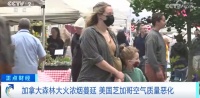 史上最严重一年!这个国家,超7.6万平方公里土地被烧毁!257处处于“失控状态”