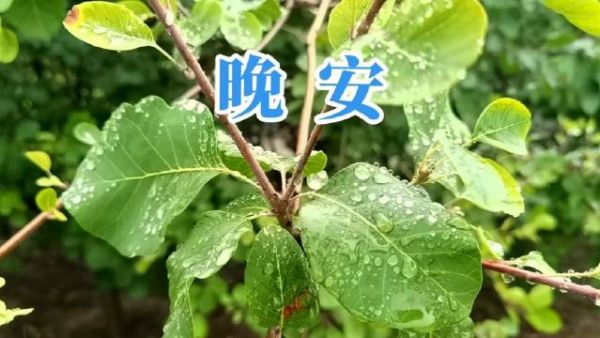 台风直奔华南去？