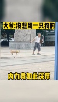 大爷:没想到一只狗的内力如此深厚