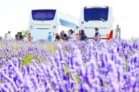 欧洲航线恢复缓慢，签证申请大量积压，多国都在问：中国团客去哪了？