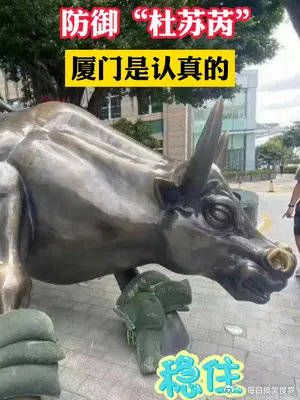 防御台风,厦门真的是认真的!
