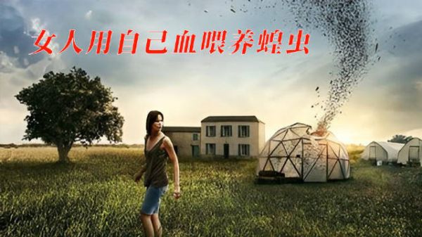 女人用血喂蝗虫，虽一夜暴富，但最后酿成大祸