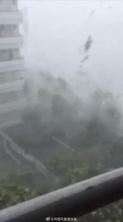 今天有几组“杜苏芮”的狂风暴雨视频在各种群里流传……