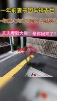 一年前妻子因车祸去世，一年后丈夫车位旁长出彼岸花……