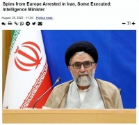 “已逮捕多名英法间谍，有人被处决”