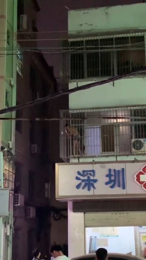 这是被抓了个正着呀……