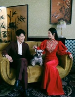 AB被绿？杨紫成万人迷？张含韵佟梦实试婚？王祖蓝宠妻人设？