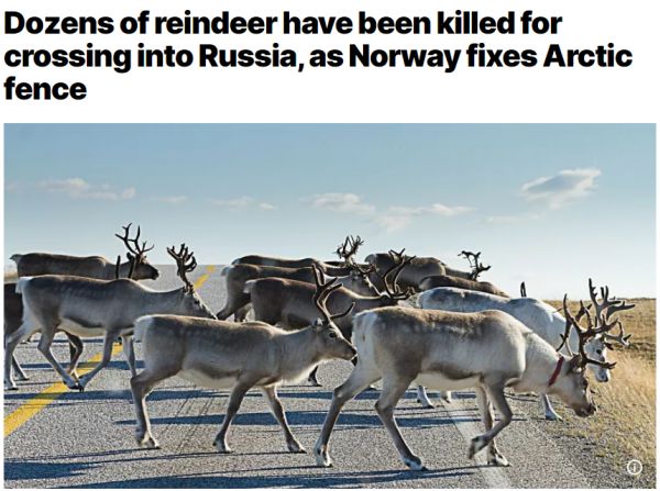 欧洲新闻网报道截图