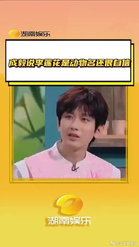 可爱鼠啦!我那搞笑而不自知的哈基米